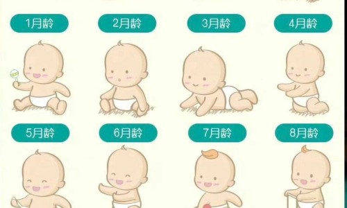 婴儿棉袄棉裤裁剪图-婴儿棉衣棉裤做法图纸网-分享婴儿棉衣裁剪方法尺寸，婴儿小棉衣知识库
